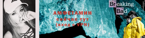 гидра Рославль