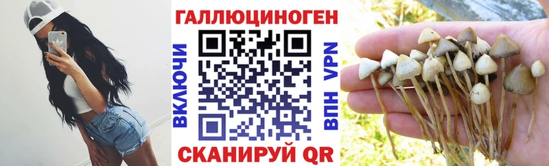 цены   Никольское  Псилоцибиновые грибы мицелий 